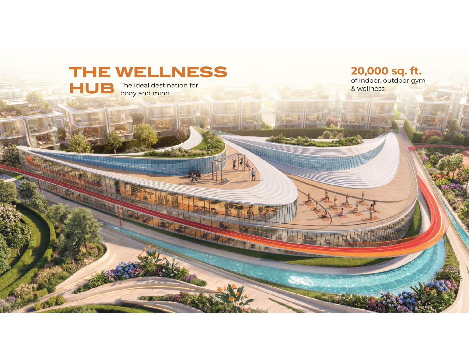 The Wellness Hub